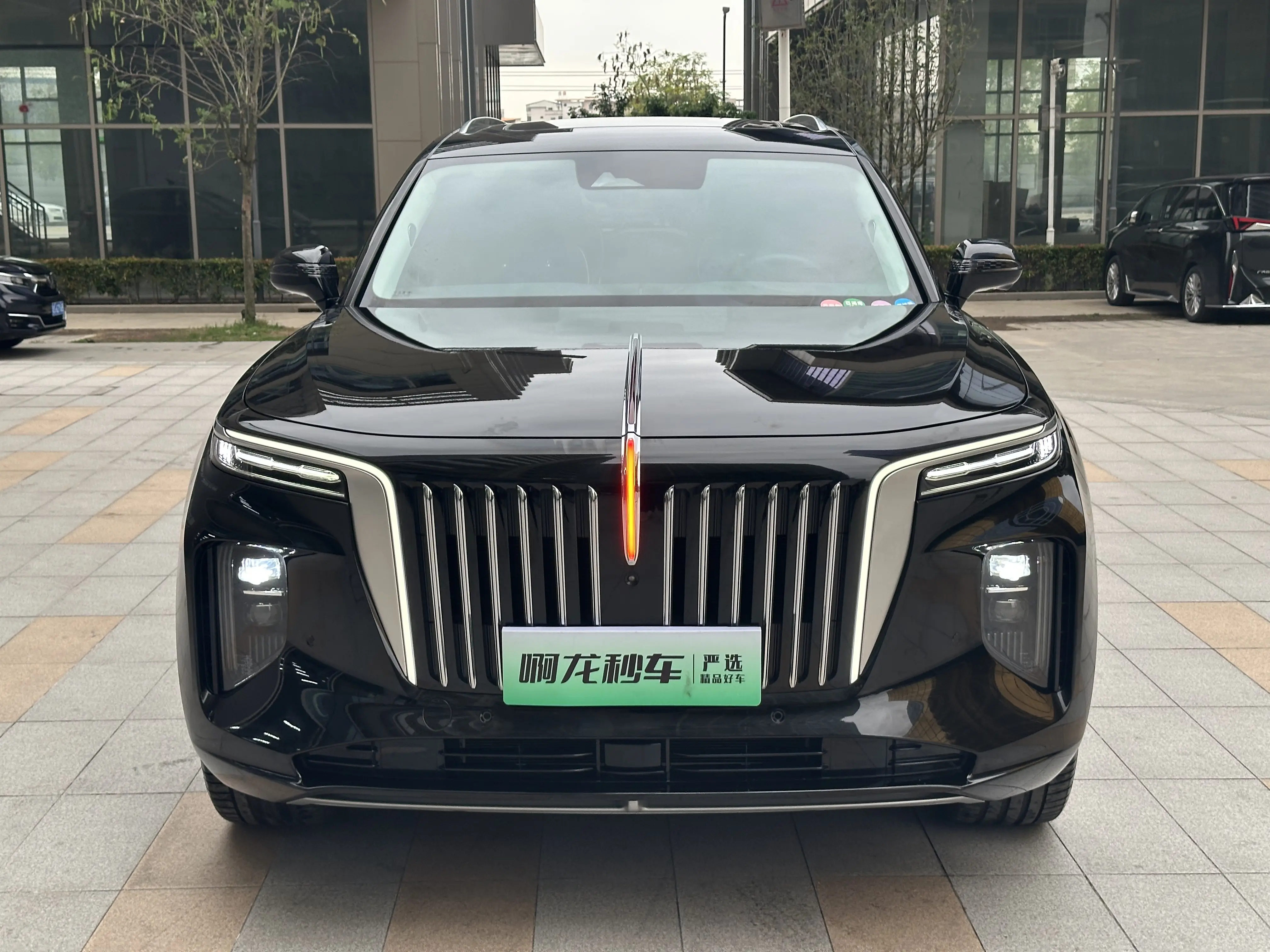 Hongqi E-HS9