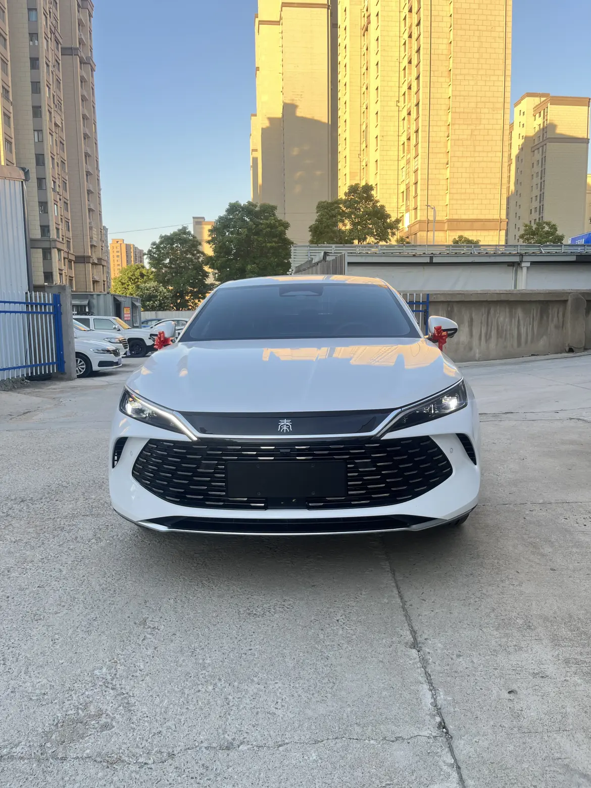 BYD Qin L DM