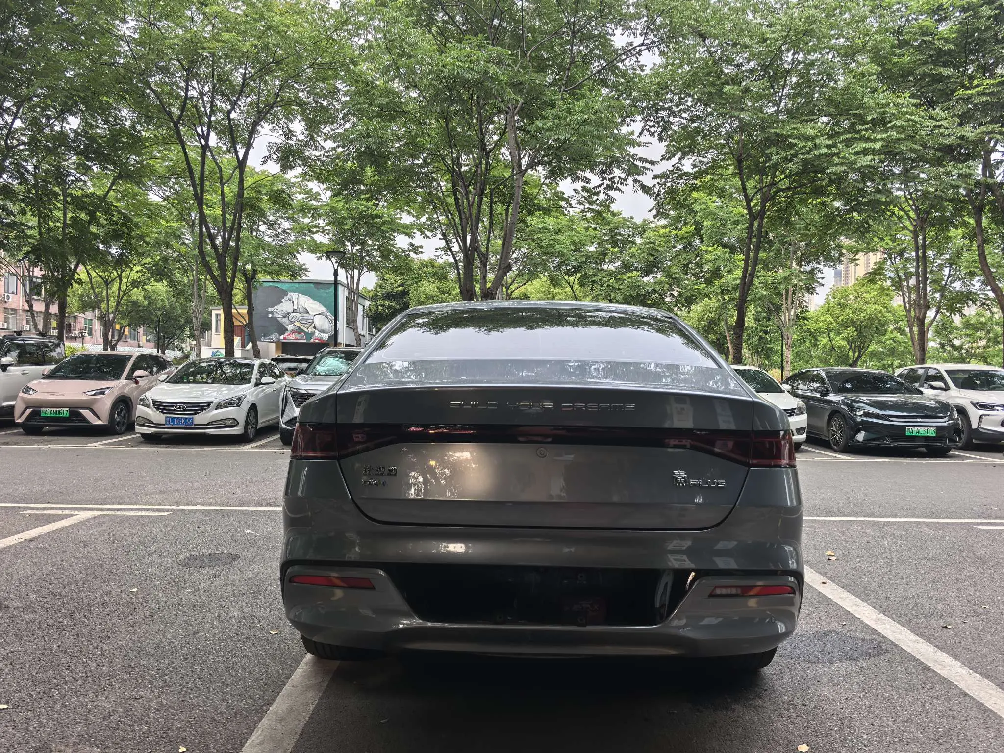 BYD Qin PLUS DM