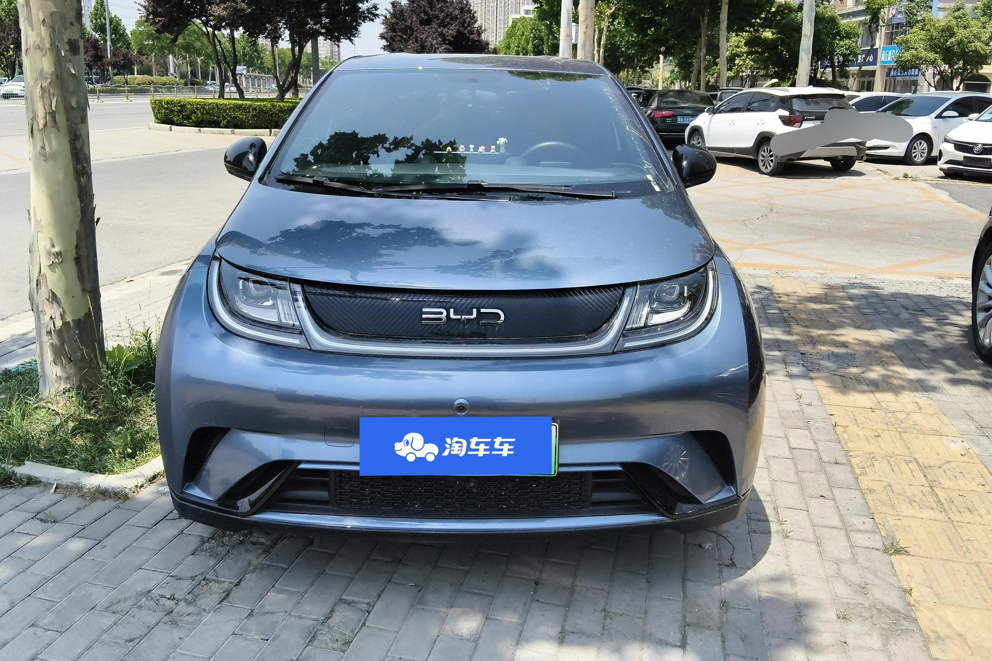 BYD dolphin