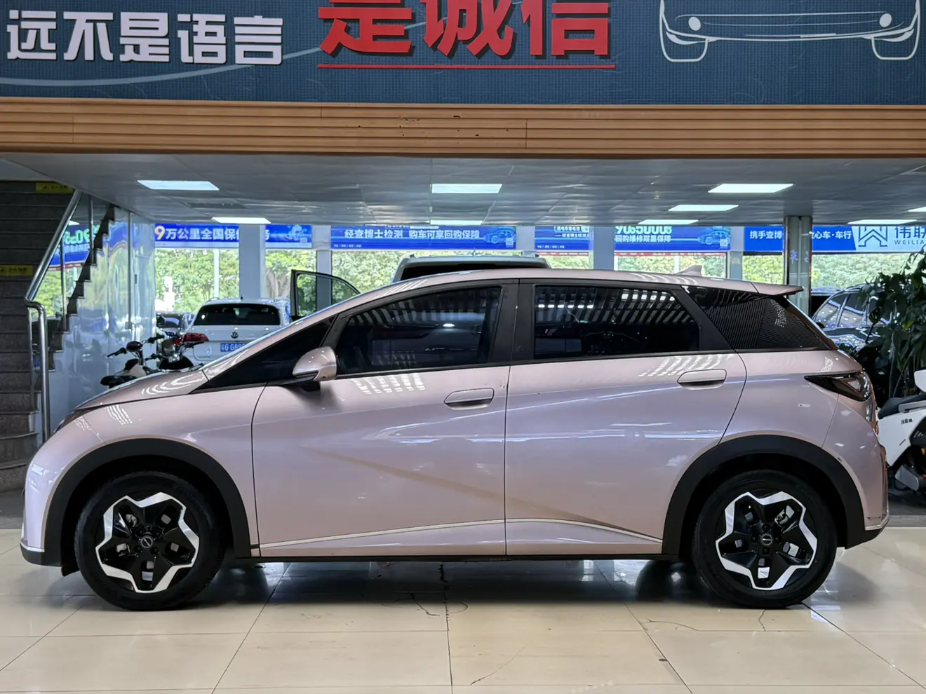BYD dolphin