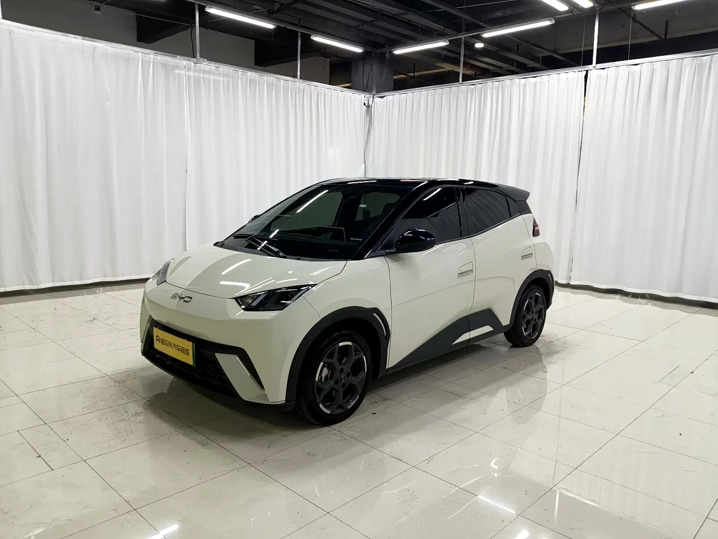 BYD seagull