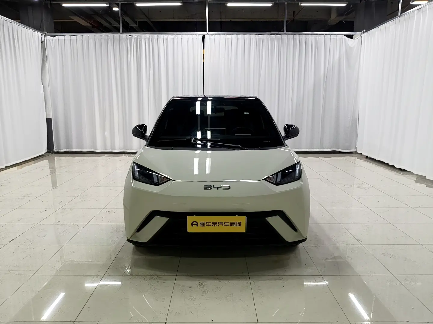 BYD seagull