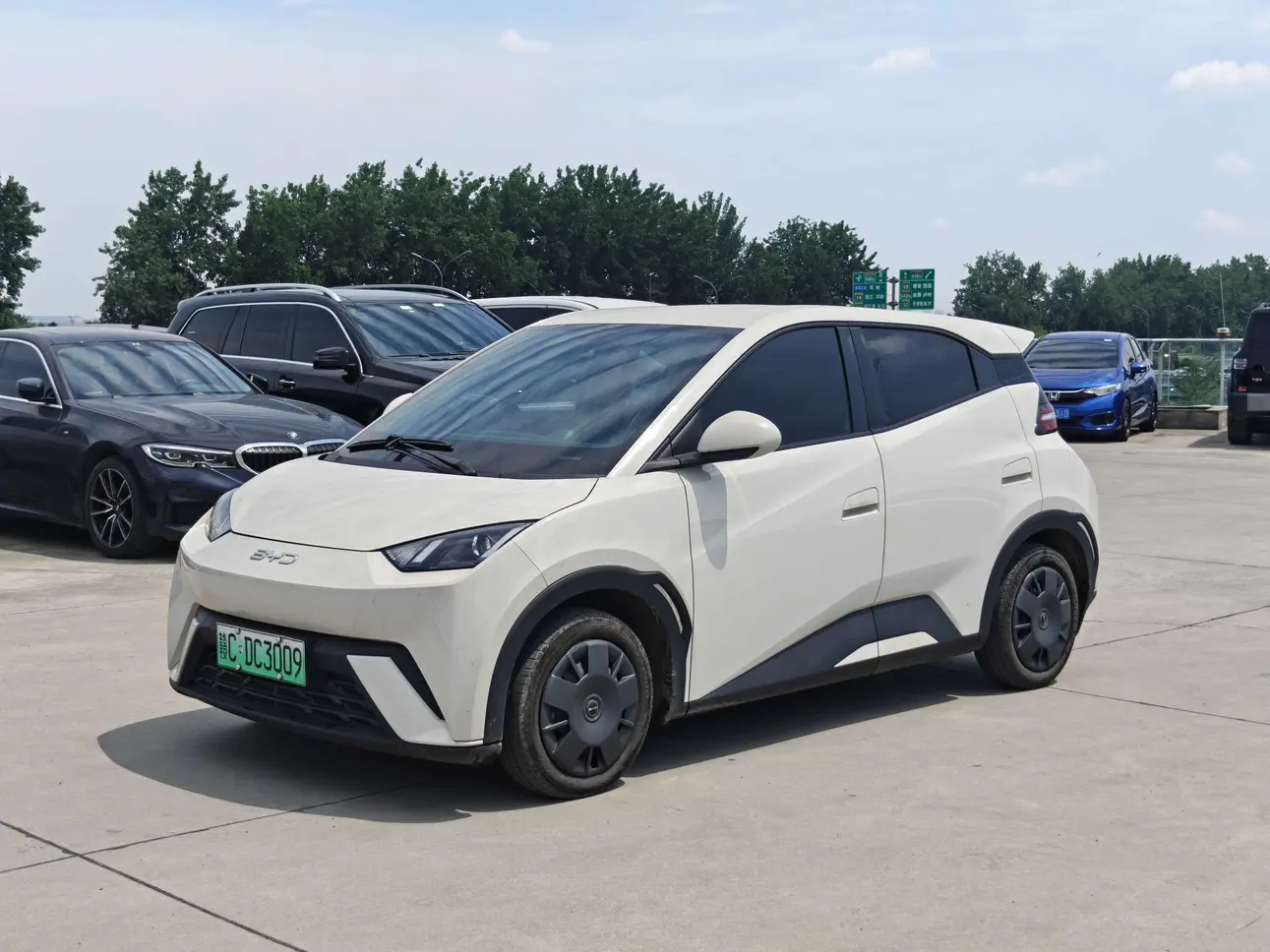 BYD seagull