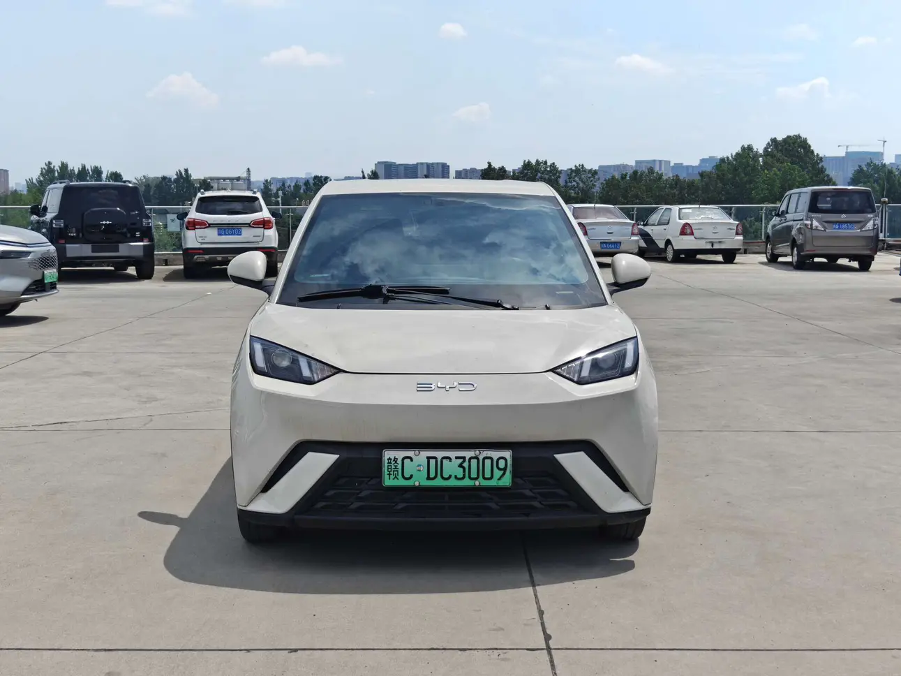BYD seagull