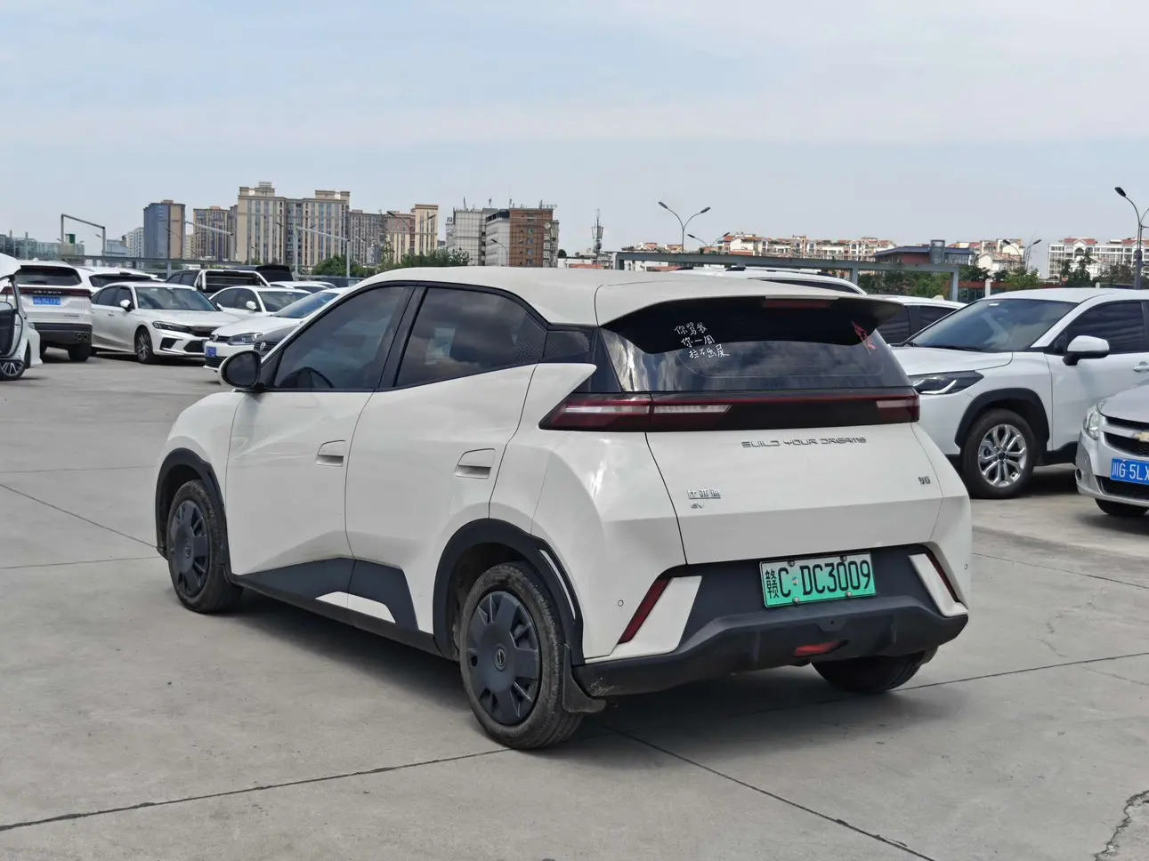 BYD seagull
