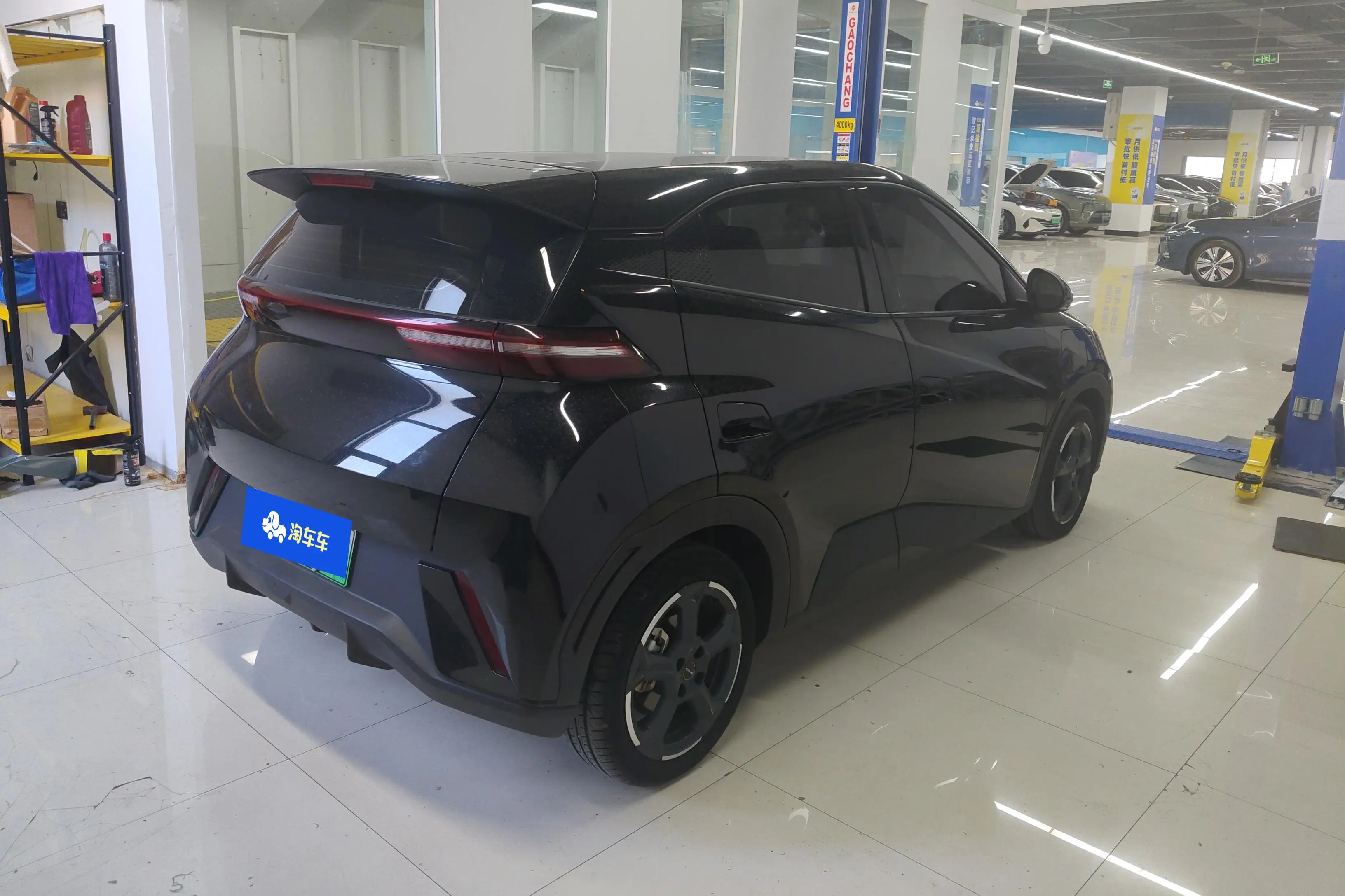 BYD Seagull