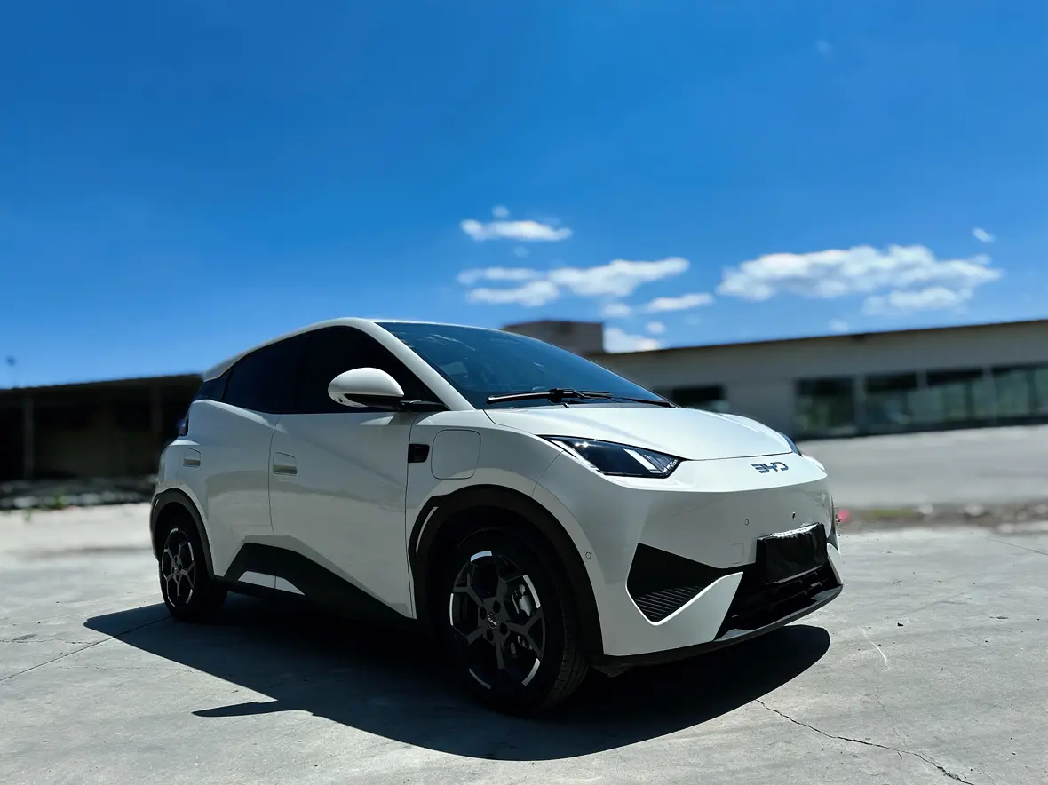 BYD Seagull