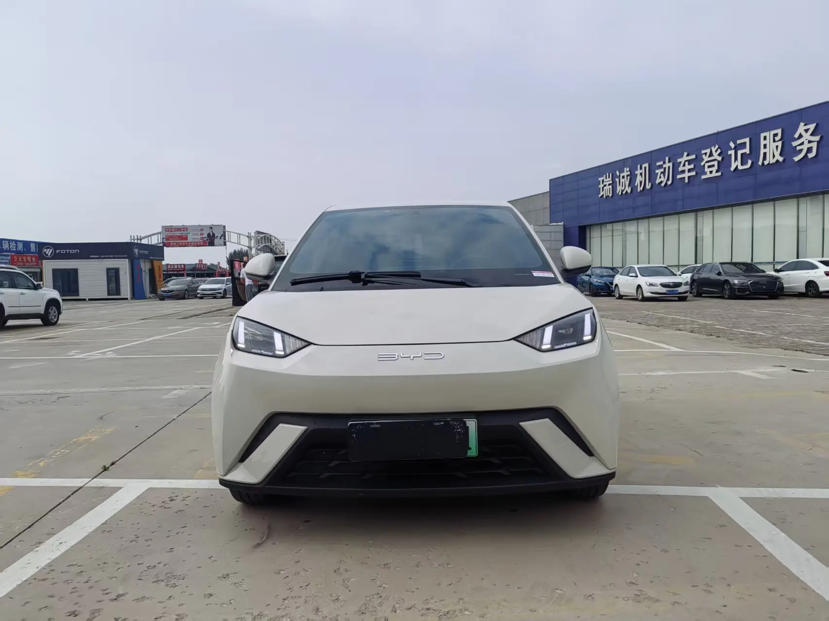 BYD seagull