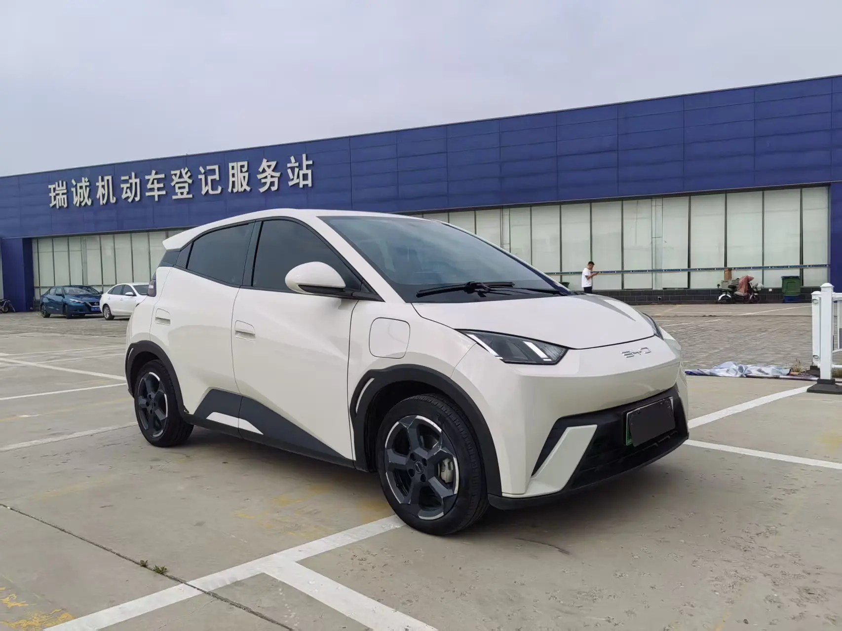 BYD seagull