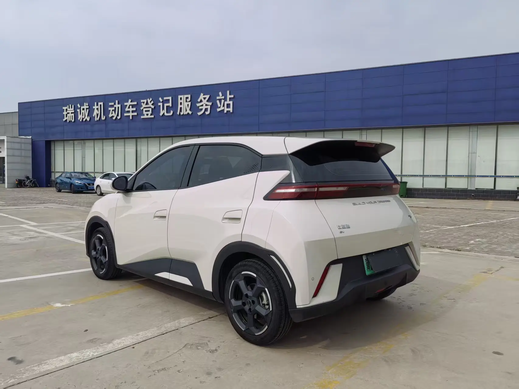 BYD seagull