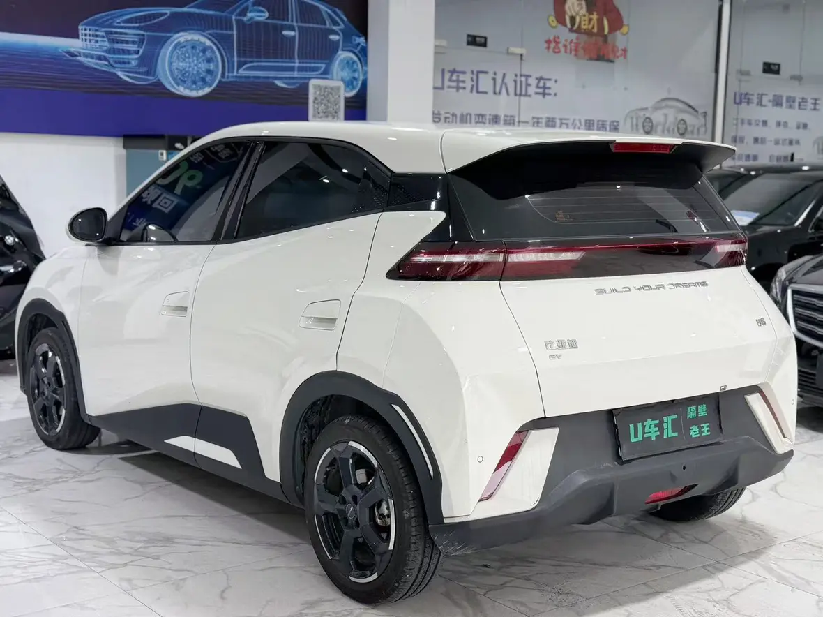 BYD Seagull