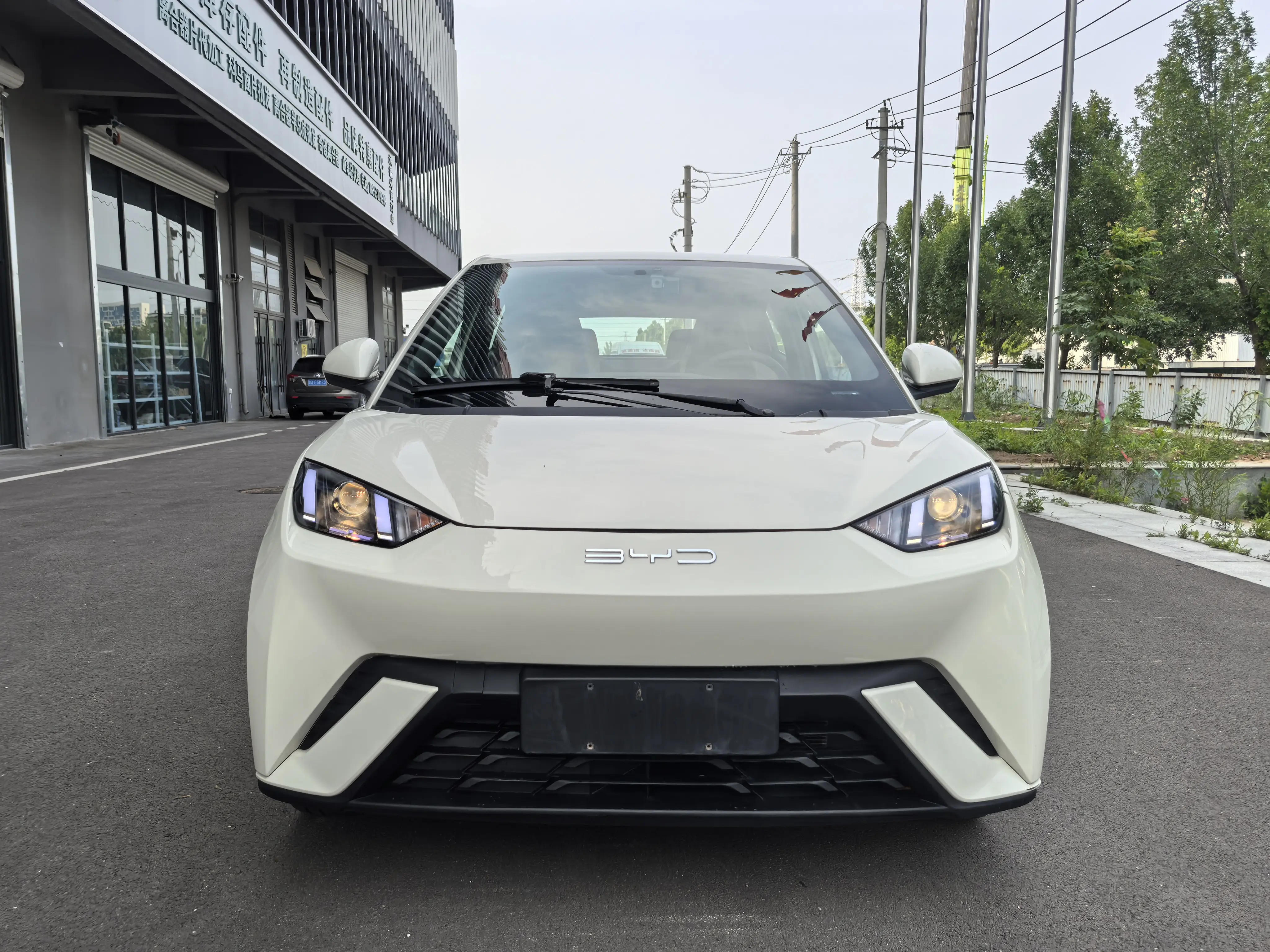BYD seagull