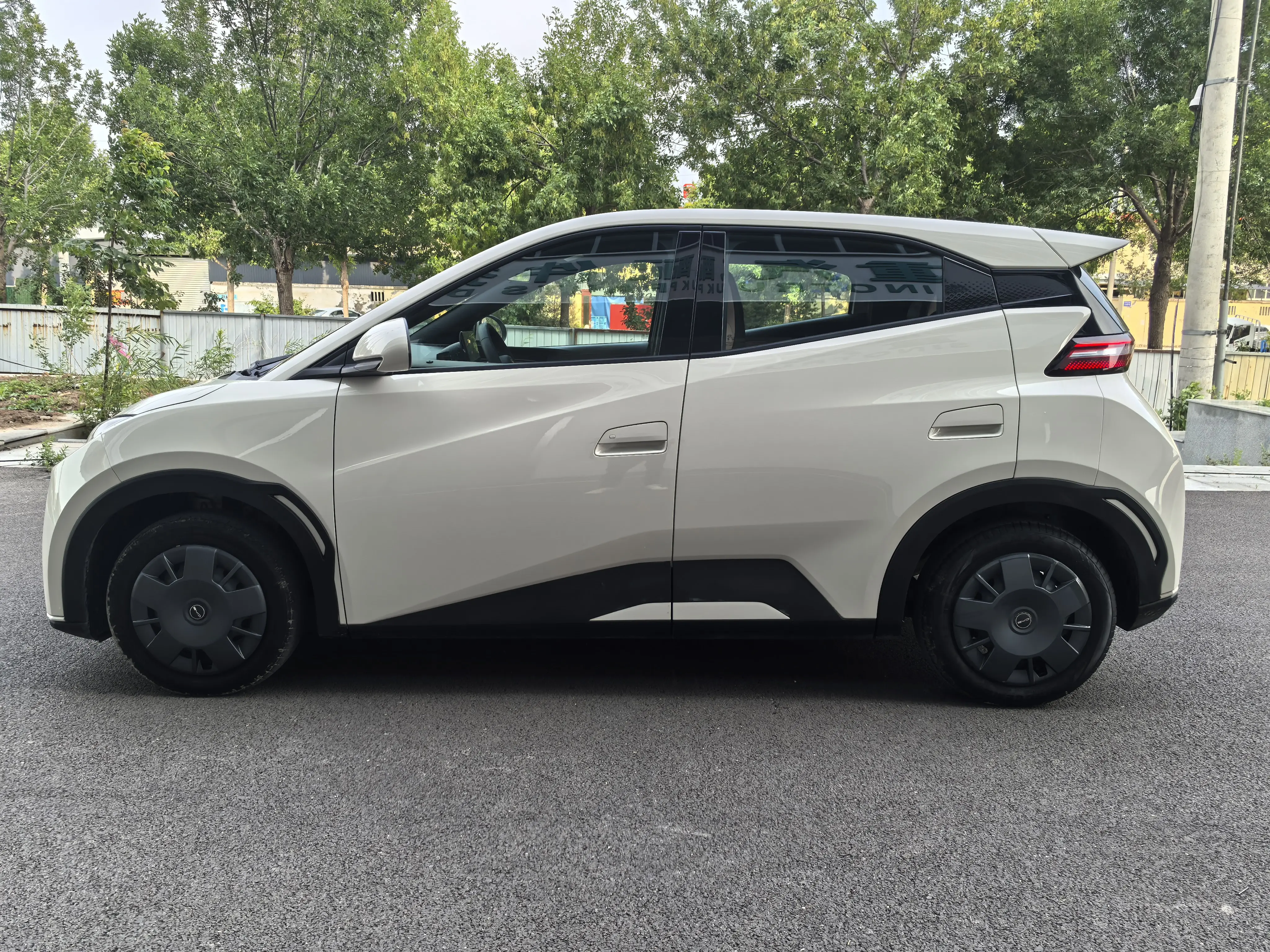 BYD seagull