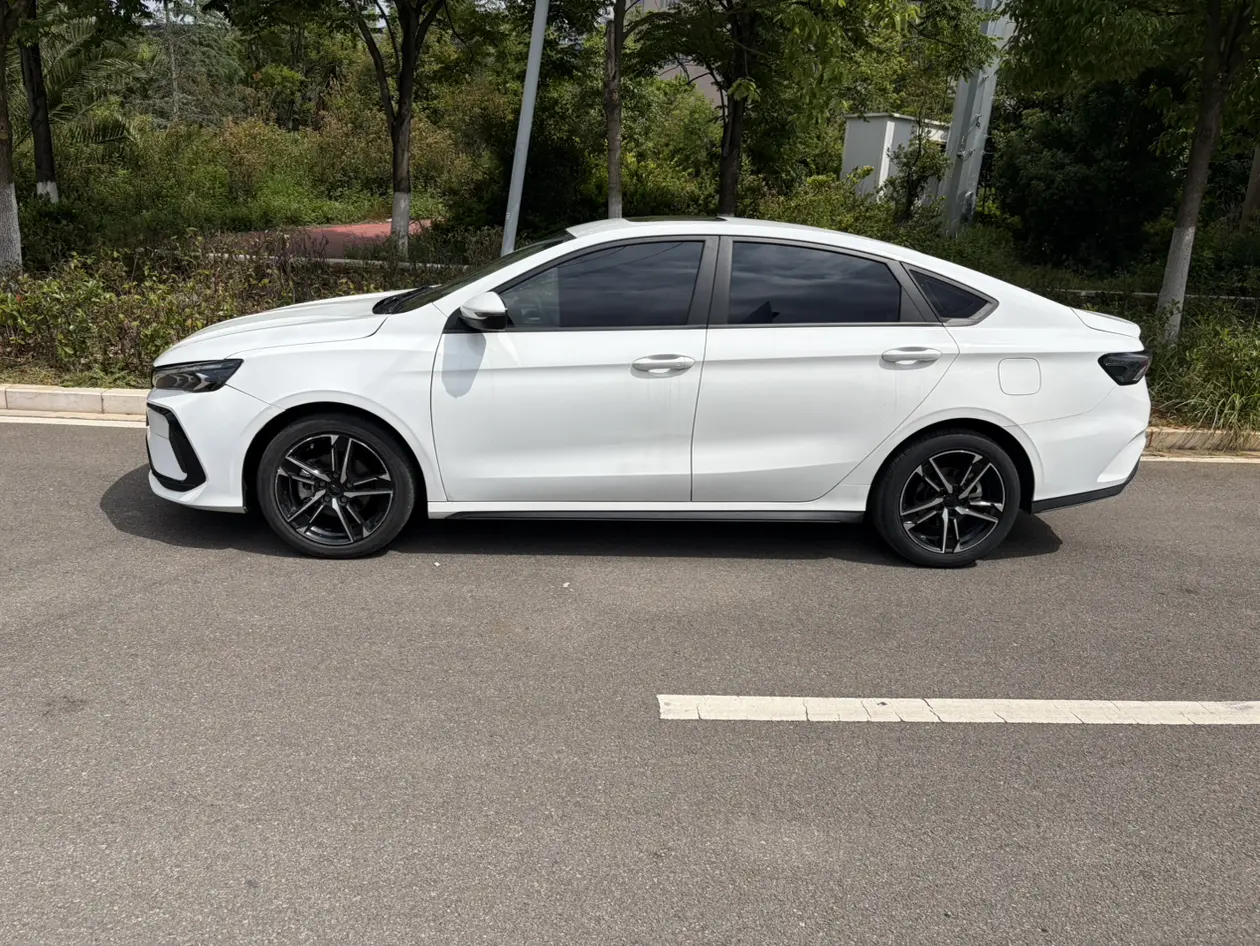 Geely Binrui