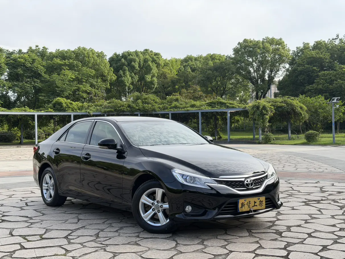 Toyota Ruizhi