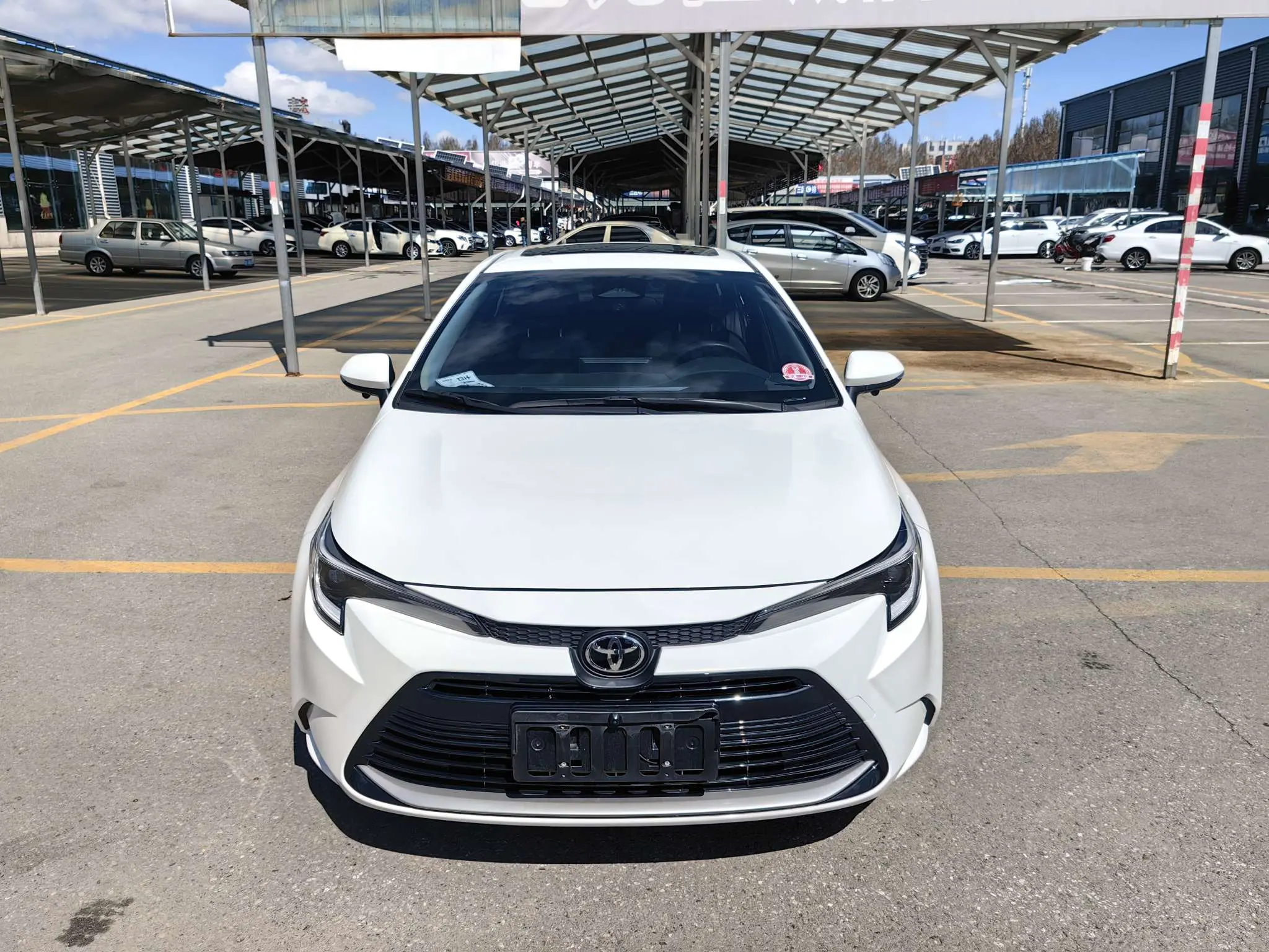 Toyota Levin