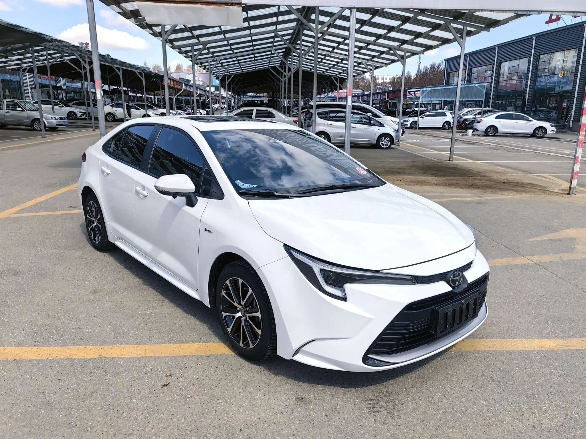 Toyota Levin
