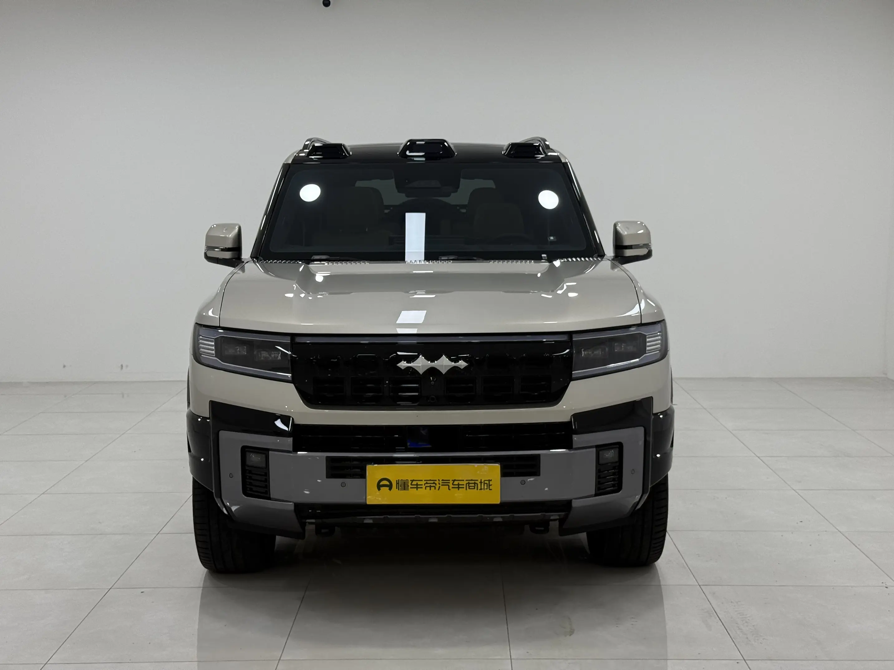 BYD Leopard Leopard 8