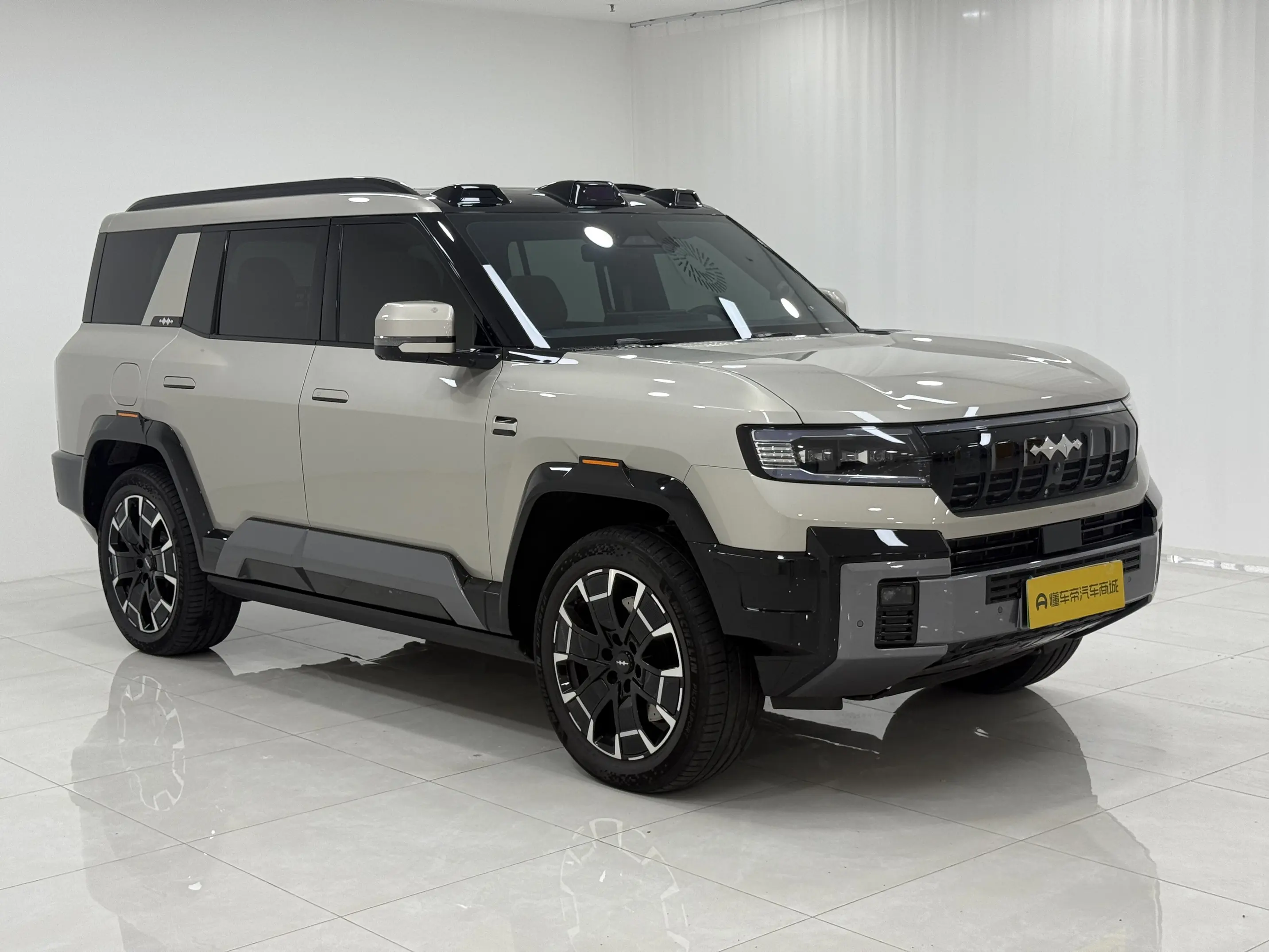 BYD Leopard Leopard 8