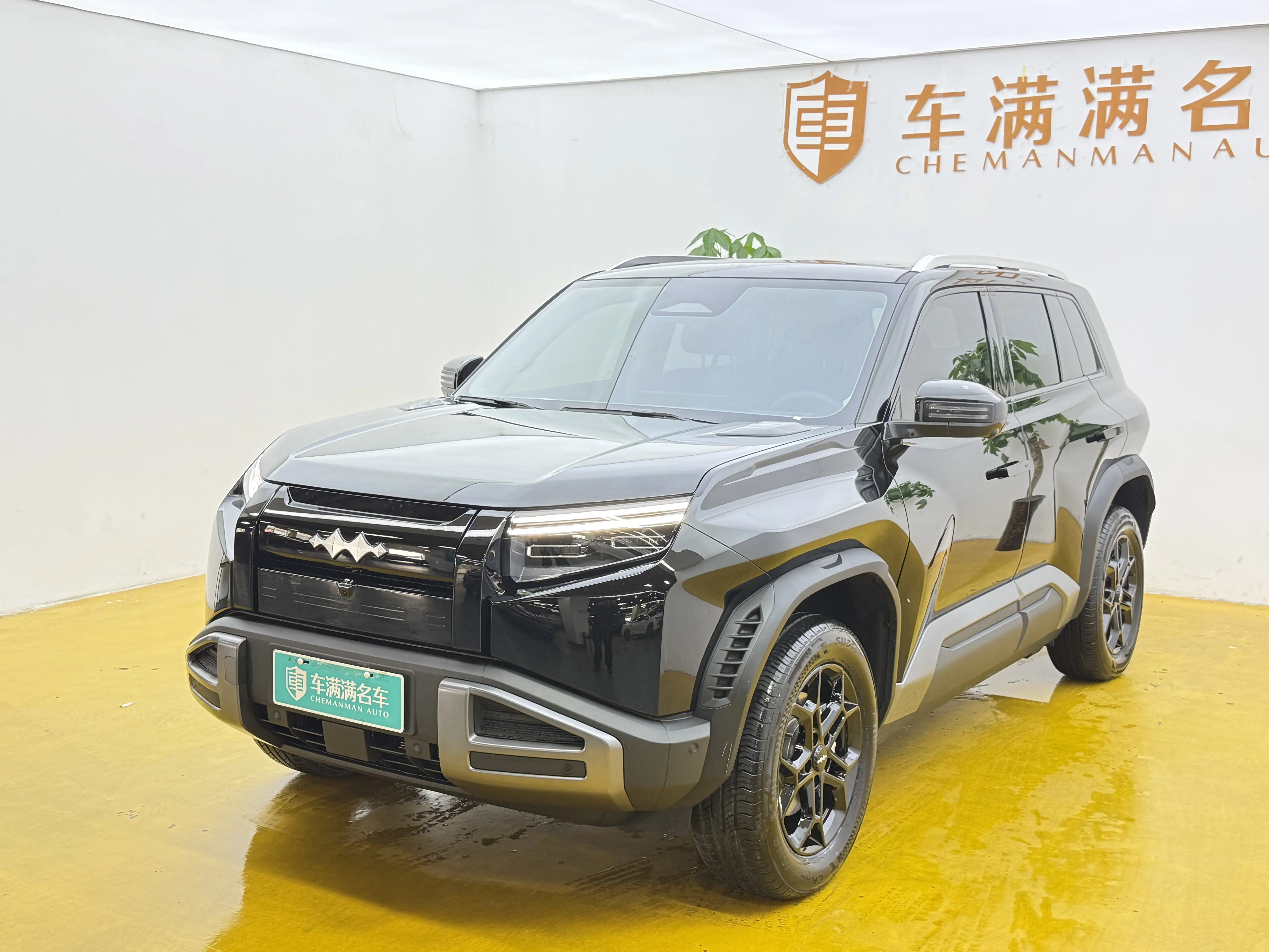 BYD Leopard Titanium 3