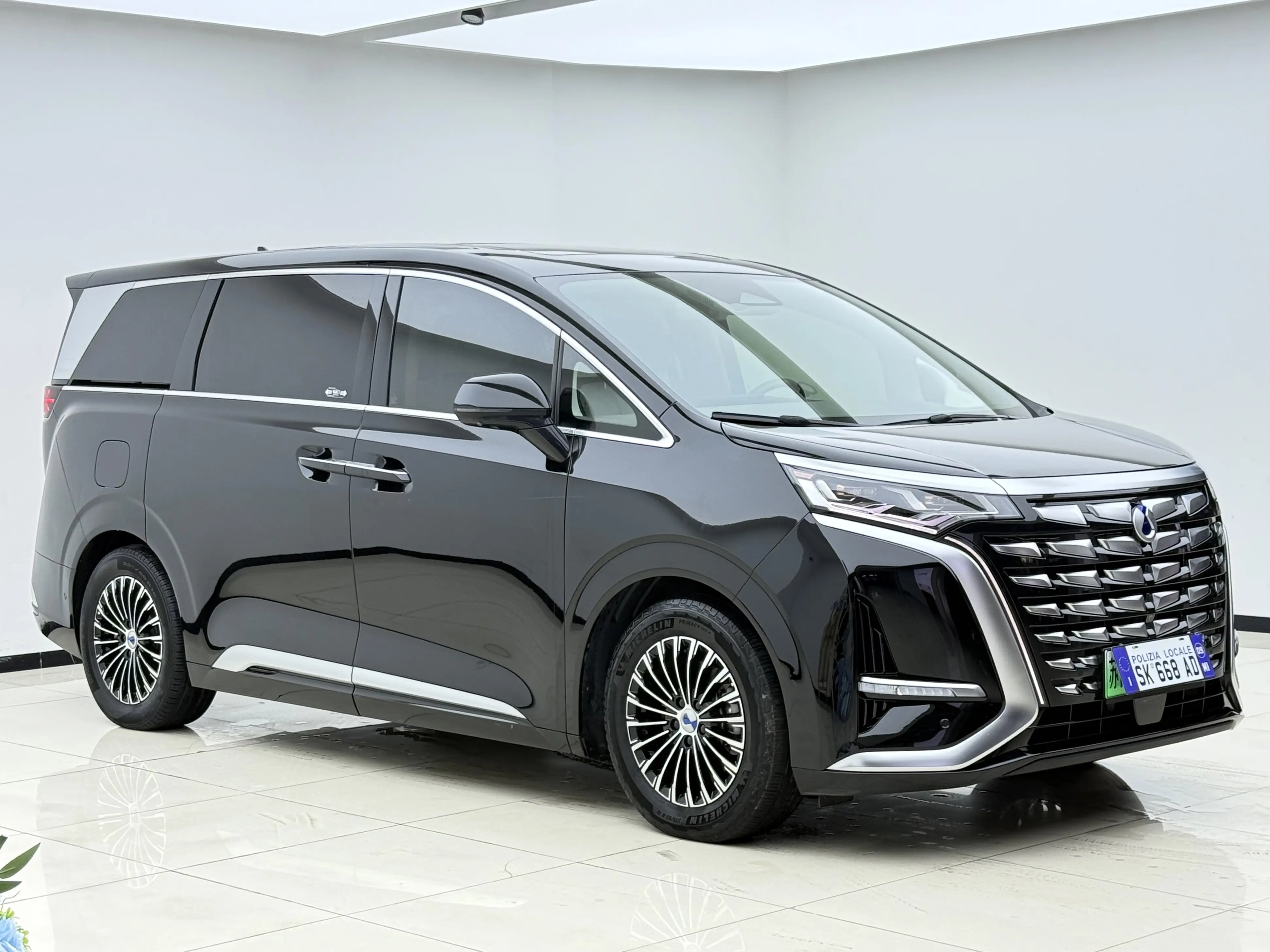 Denza D9 DM