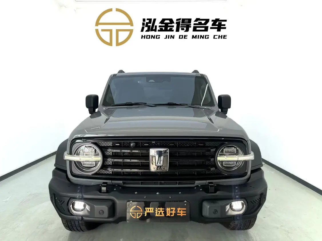 Tank 300