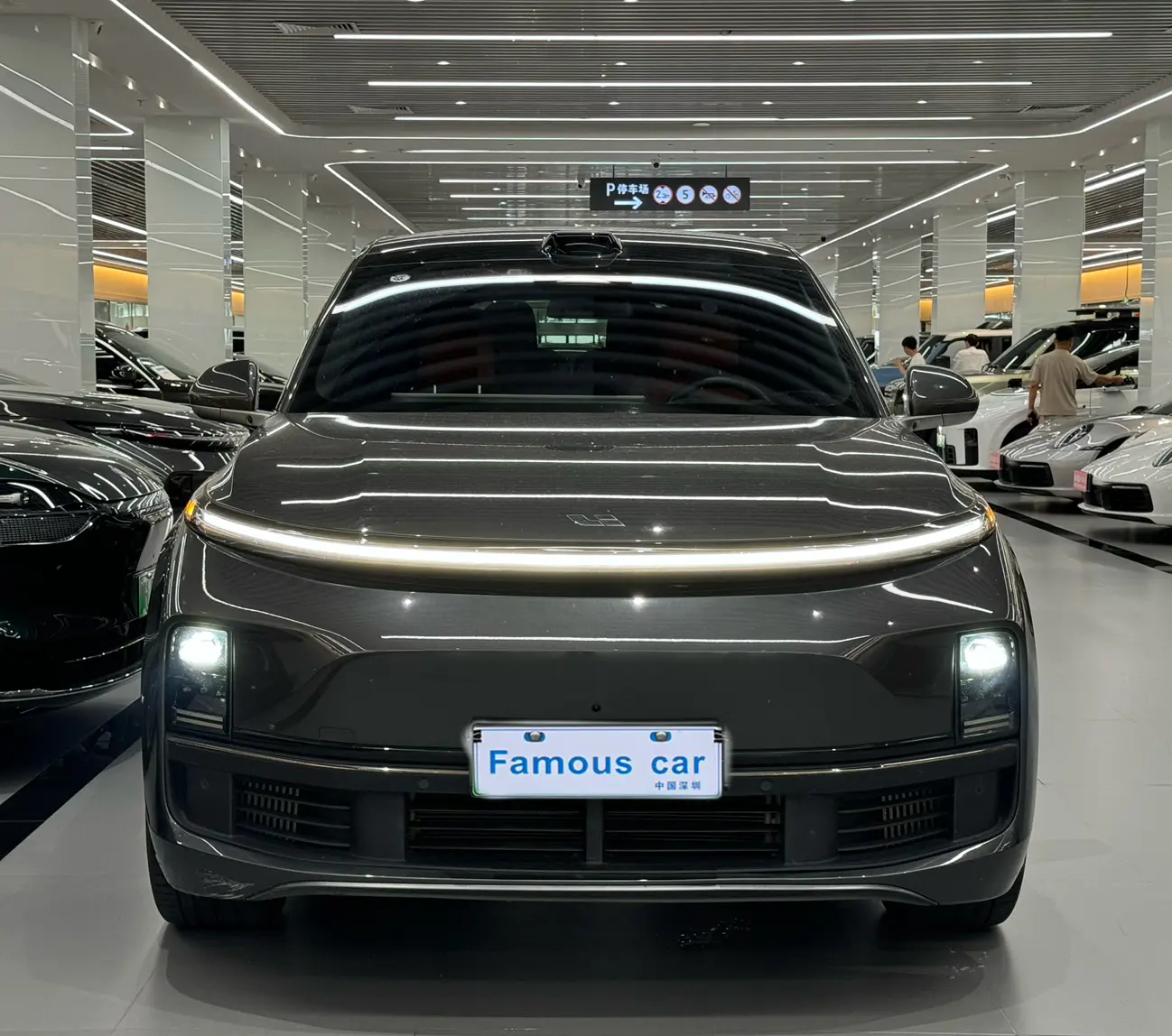 Lixiang L9