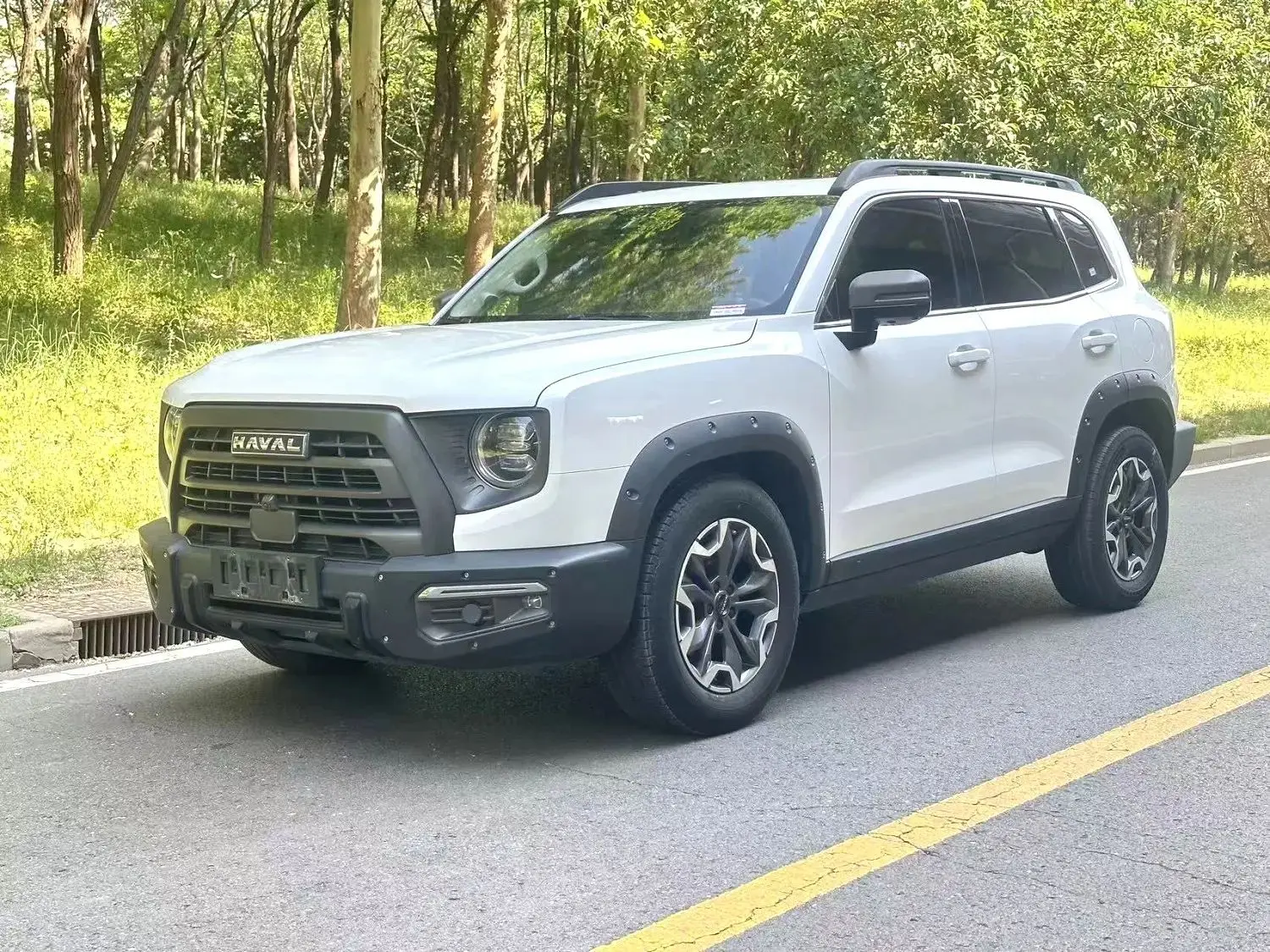 Haval Dargo