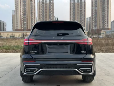 Hongqi HS5