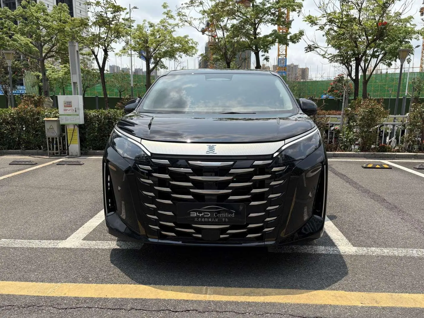 BYD summer
