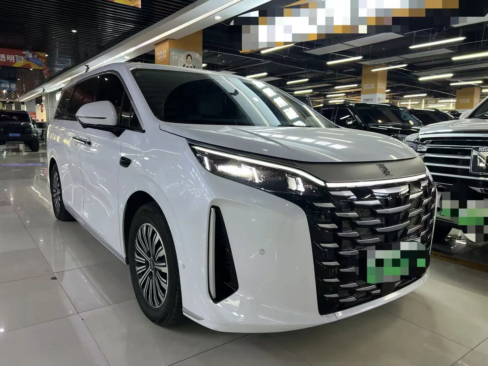 BYD summer