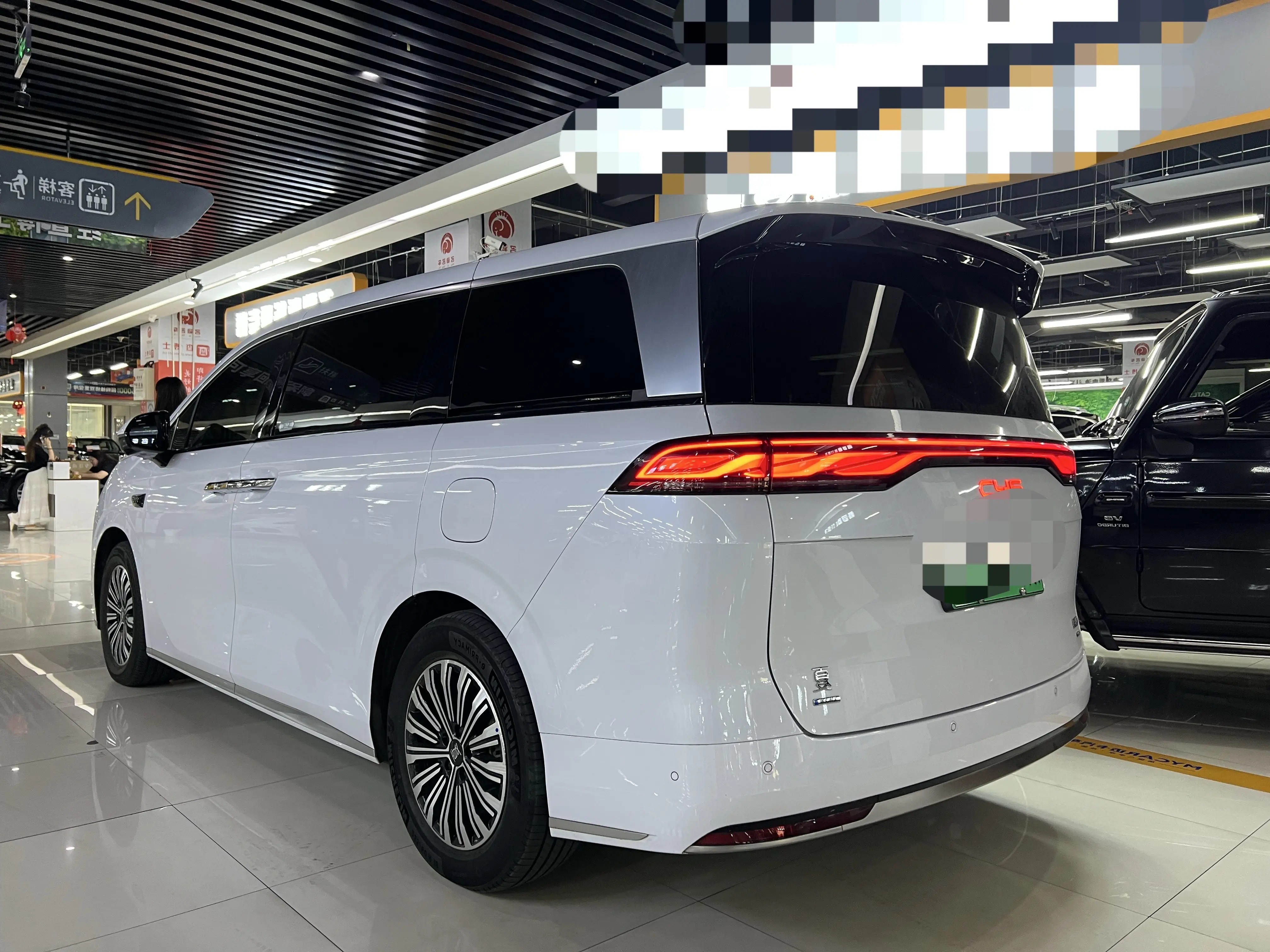 BYD summer