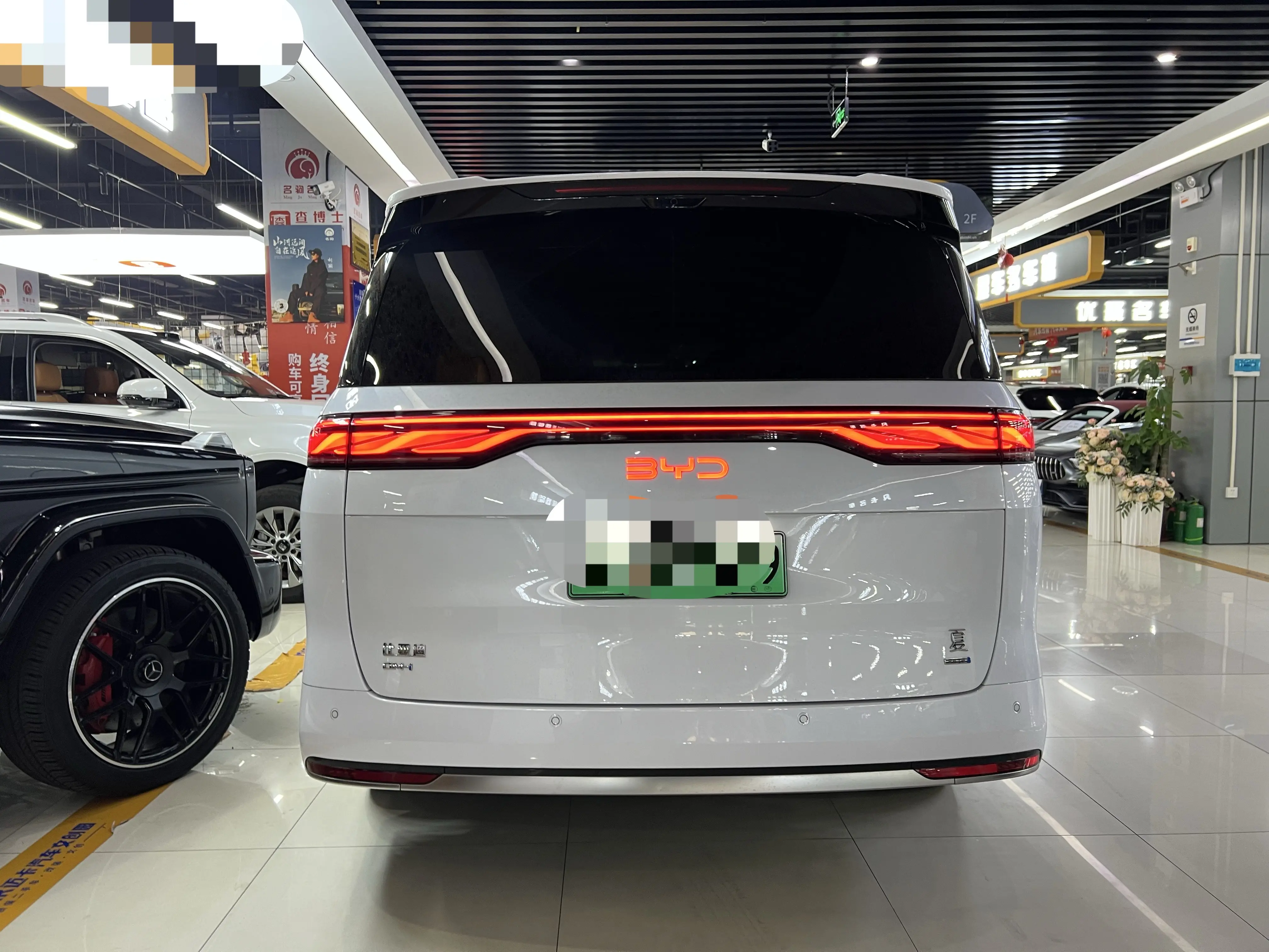 BYD summer