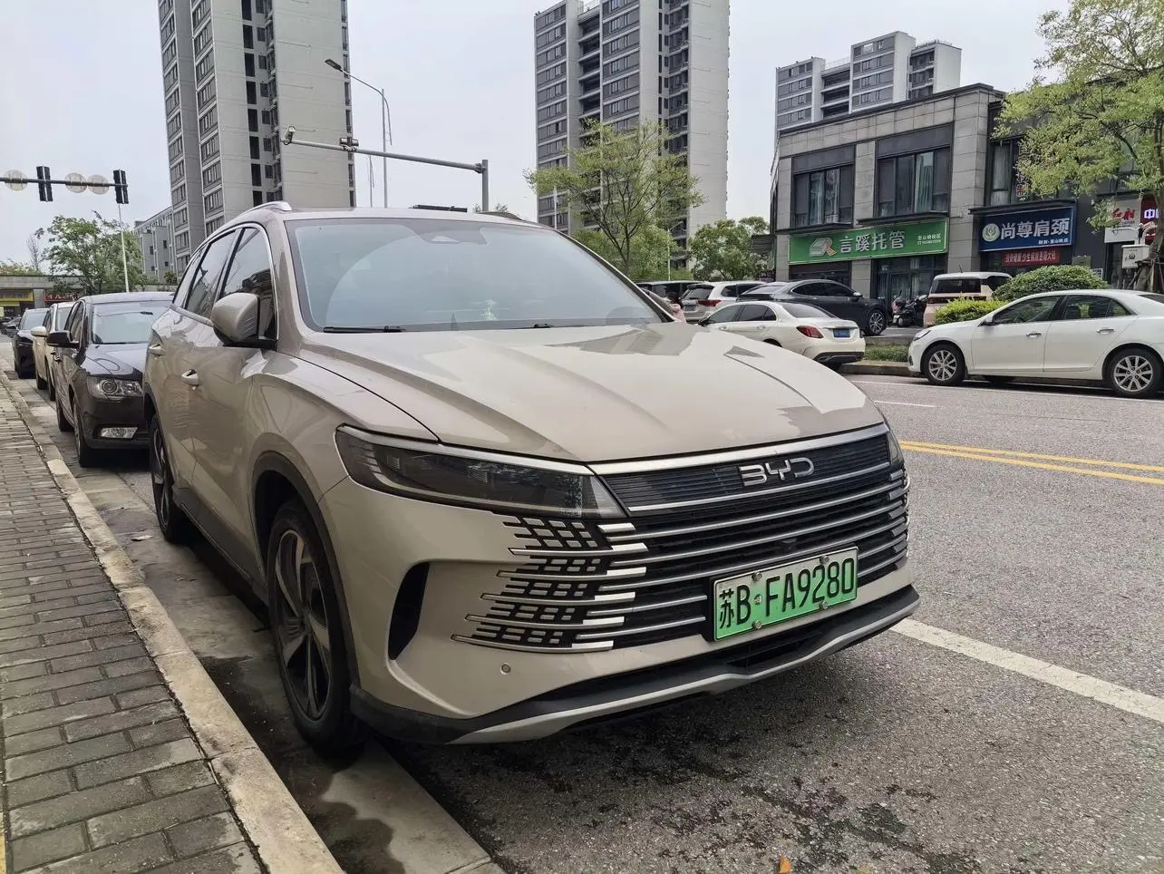 BYD Sea Lion 05DM