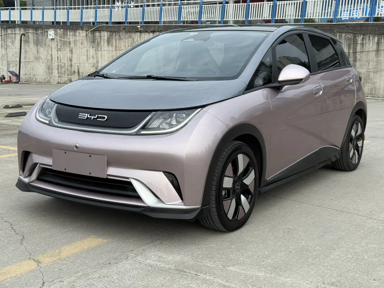BYD dolphin