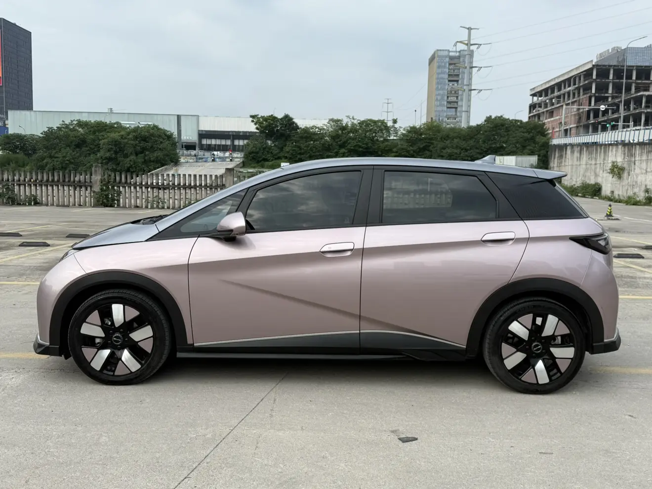 BYD dolphin