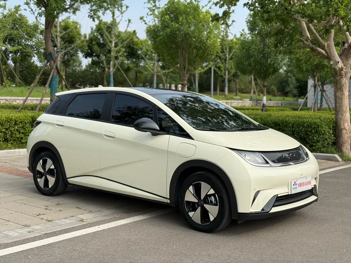 BYD Dolphin