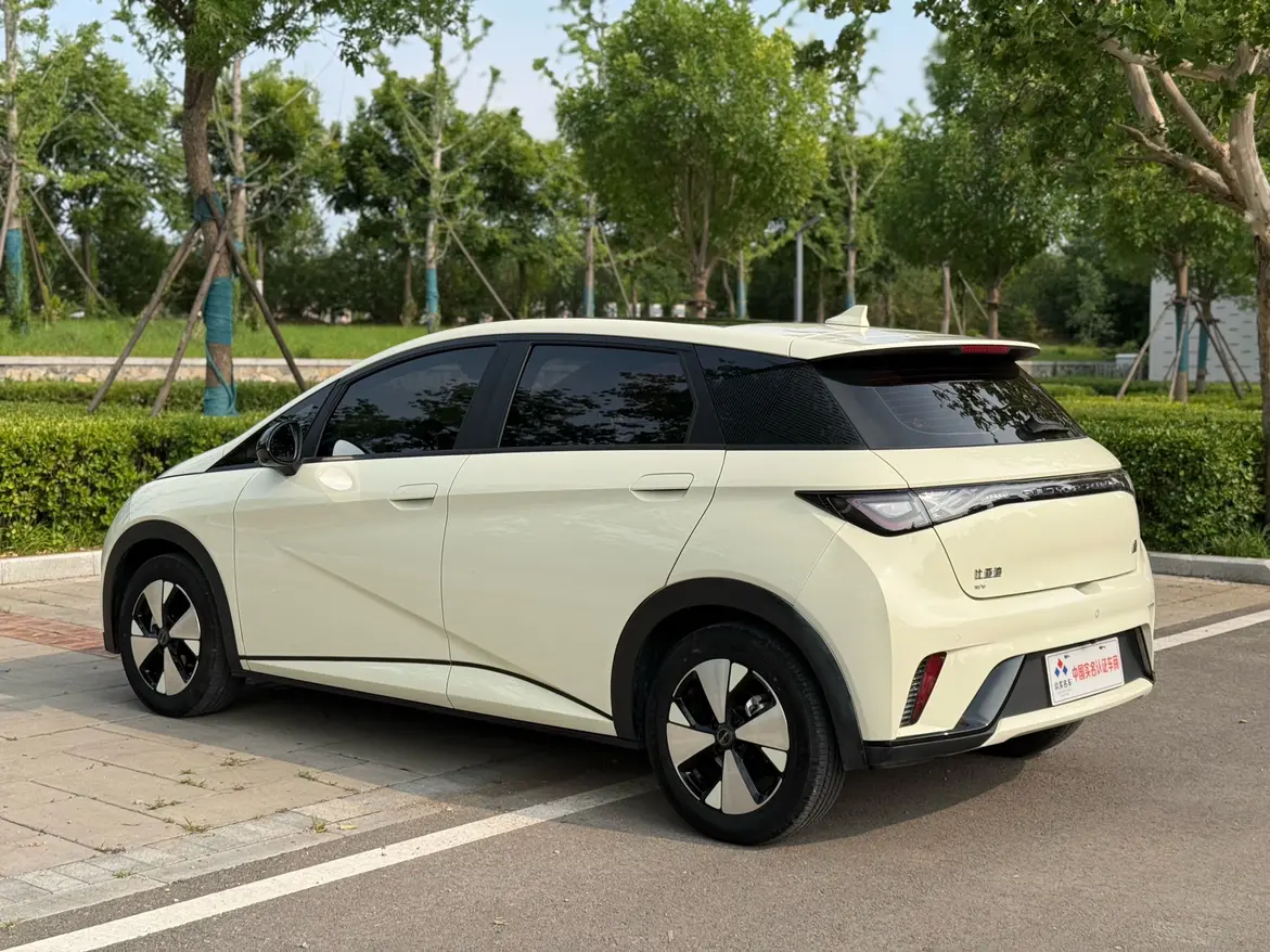 BYD Dolphin