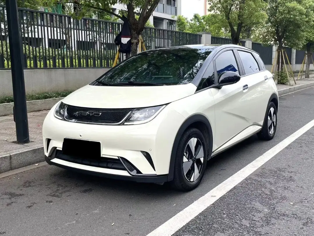 BYD dolphin