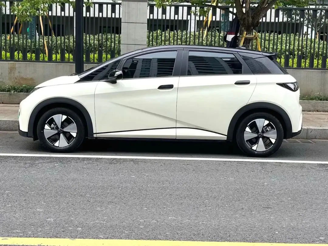 BYD dolphin