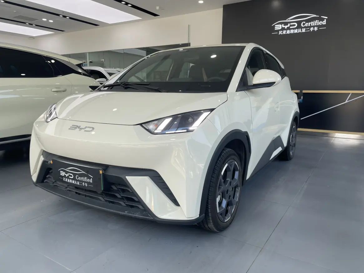 BYD Seagull