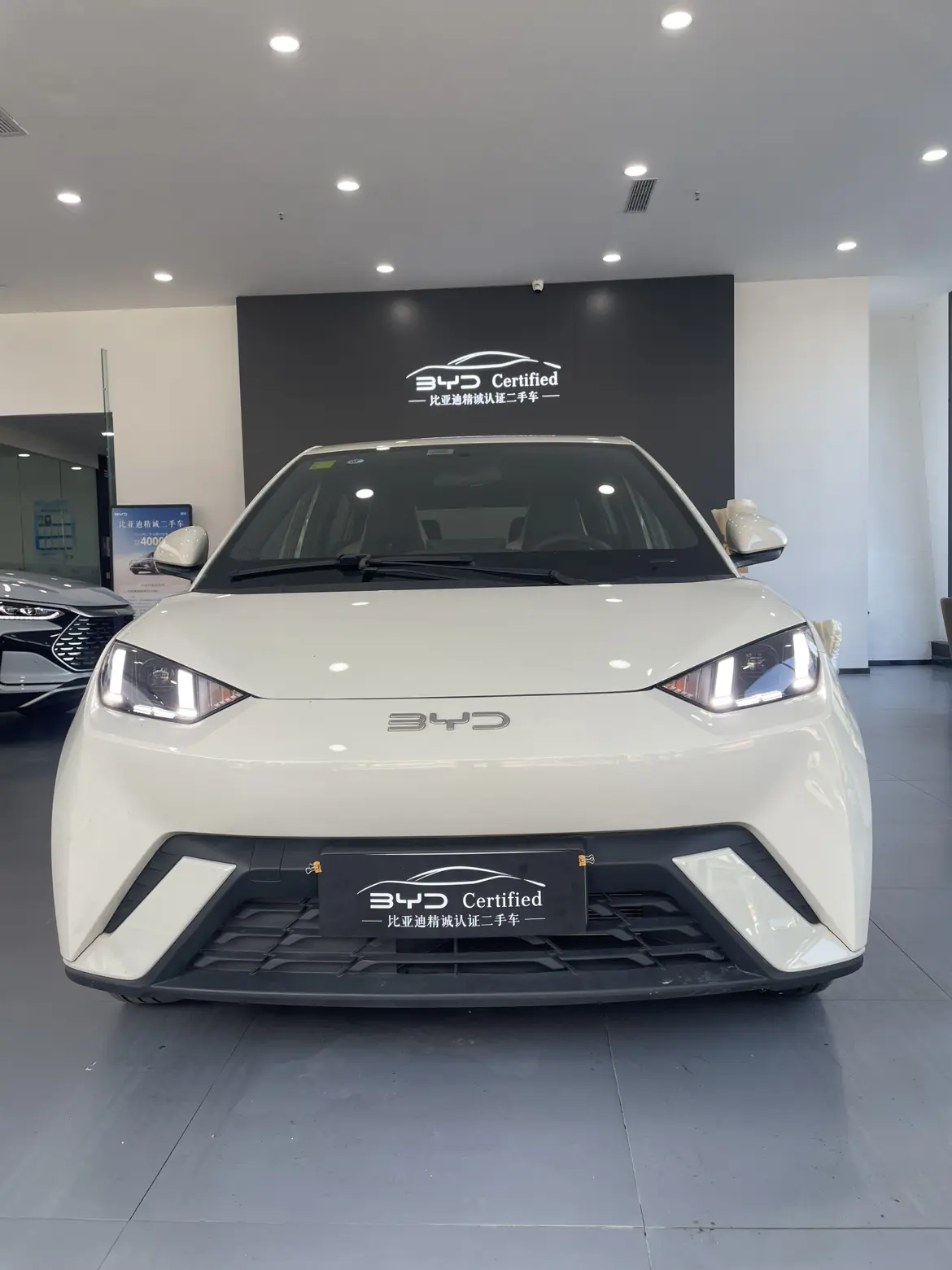BYD Seagull