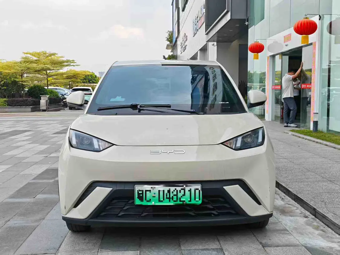 BYD Seagull
