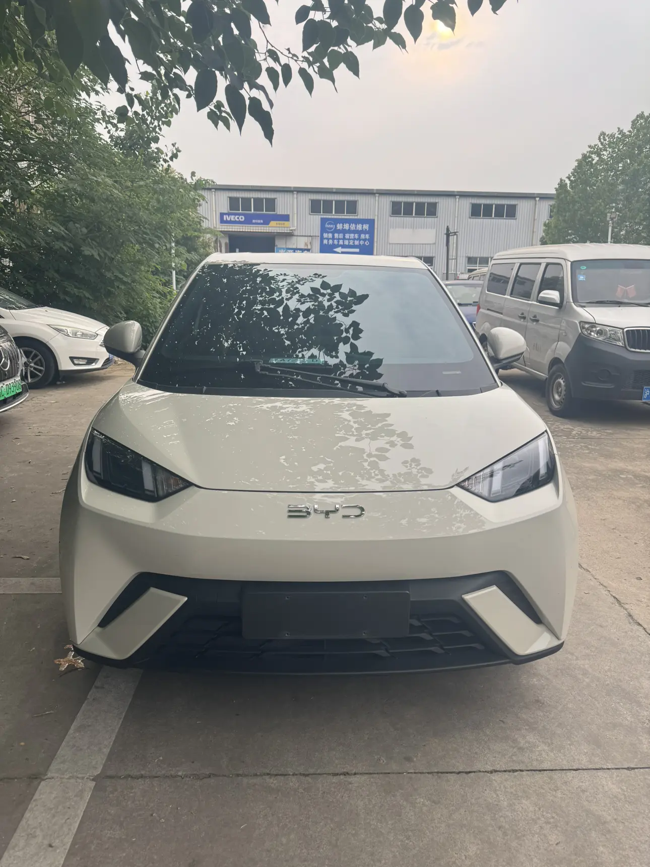 BYD seagull