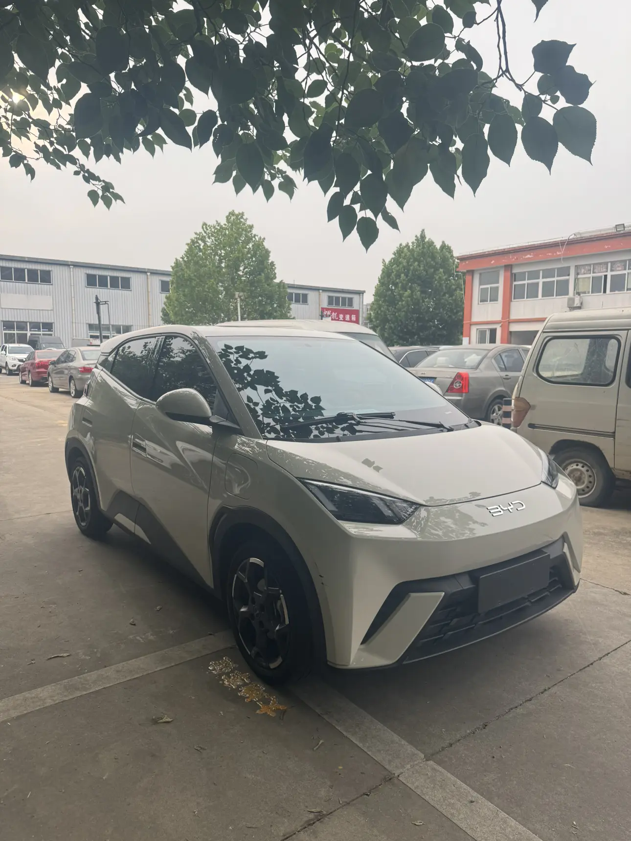 BYD seagull