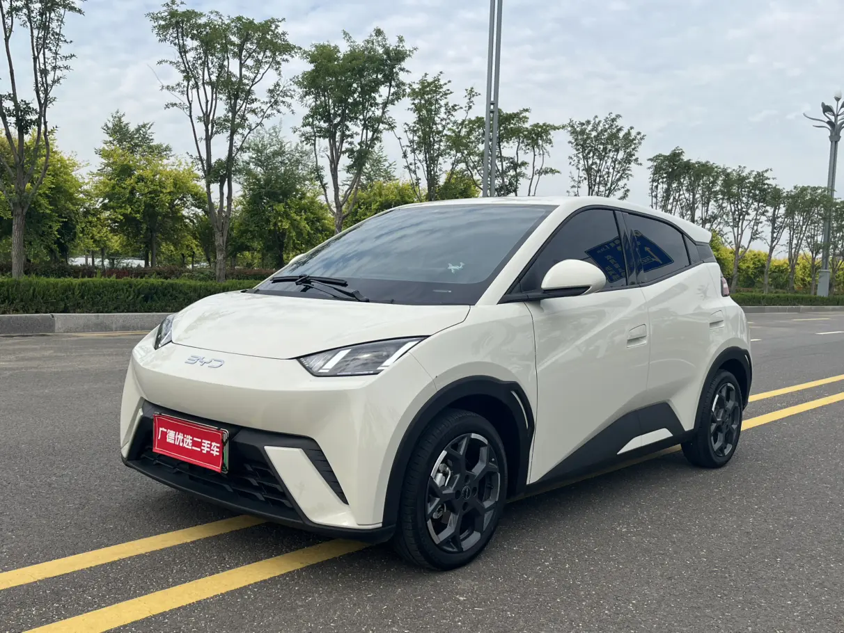 BYD Seagull