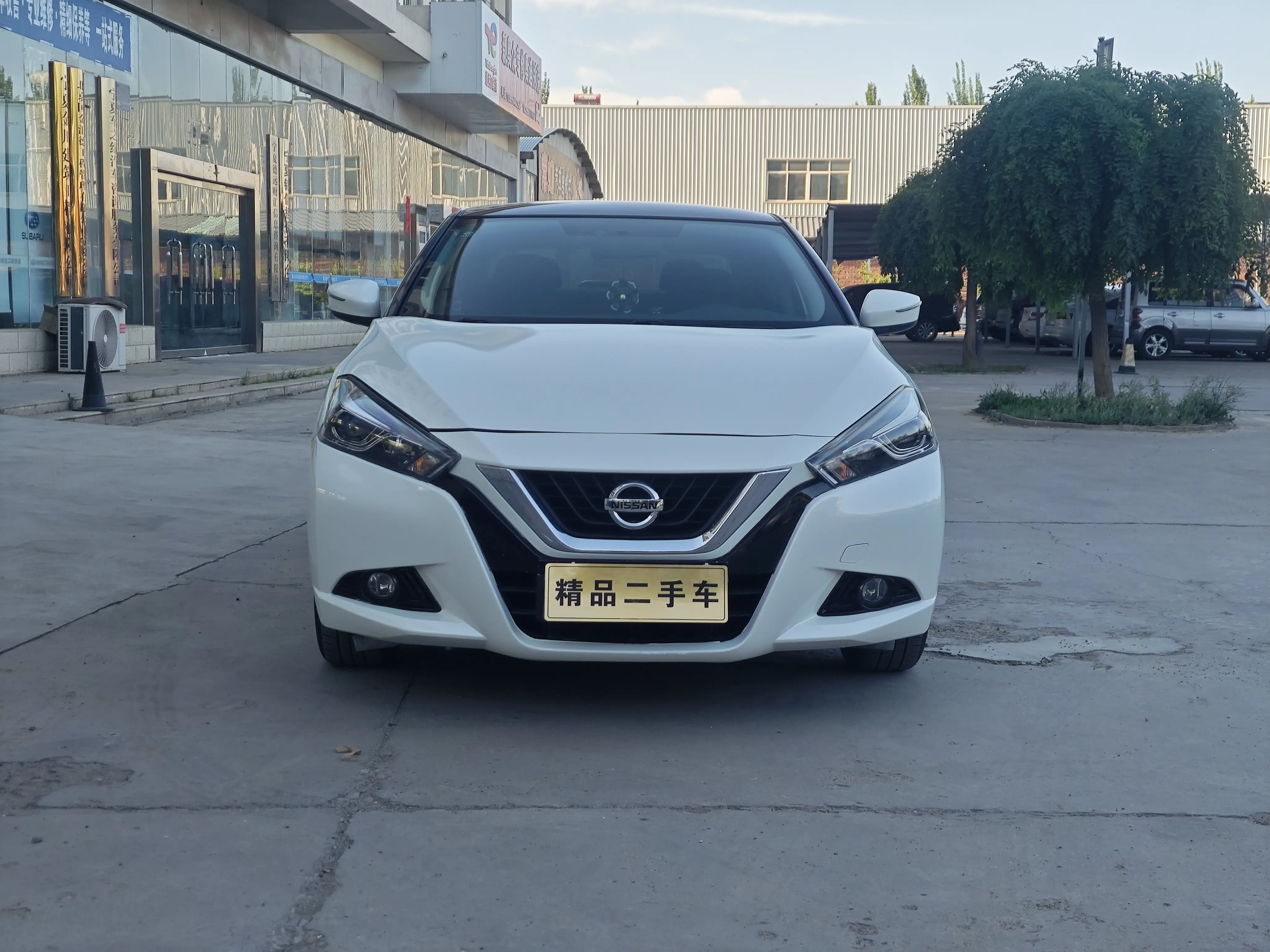 Nissan Bluebird