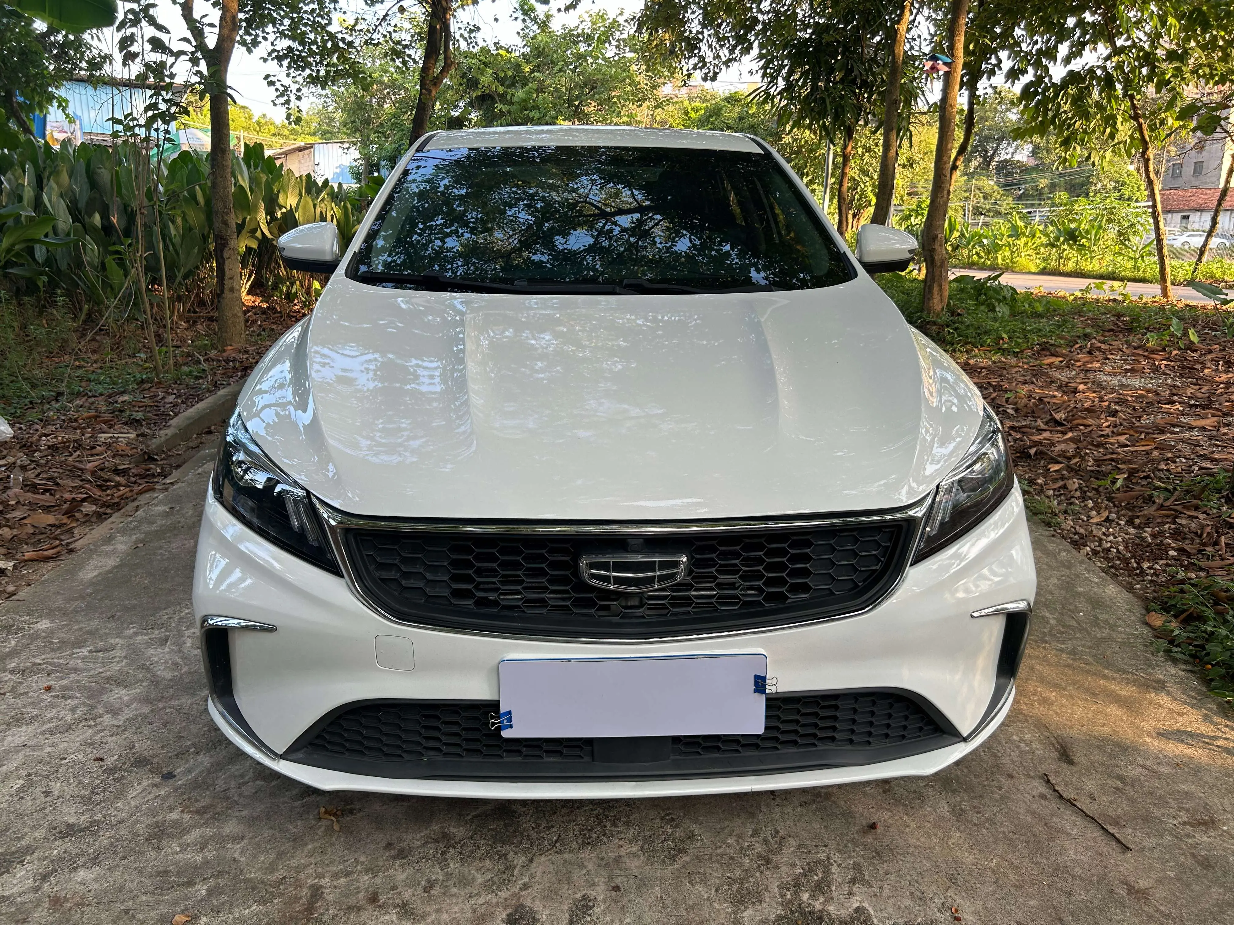 Geely Binrui
