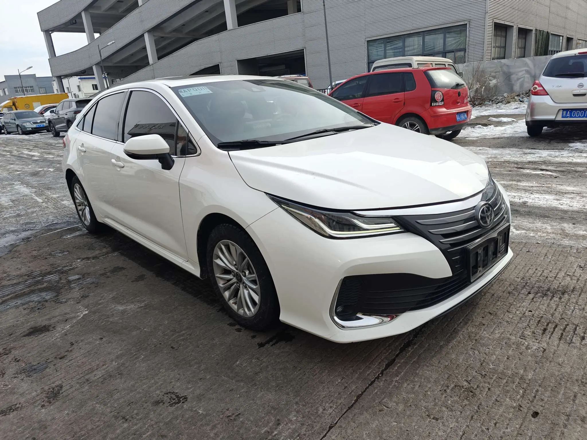 Toyota Asiatic lion